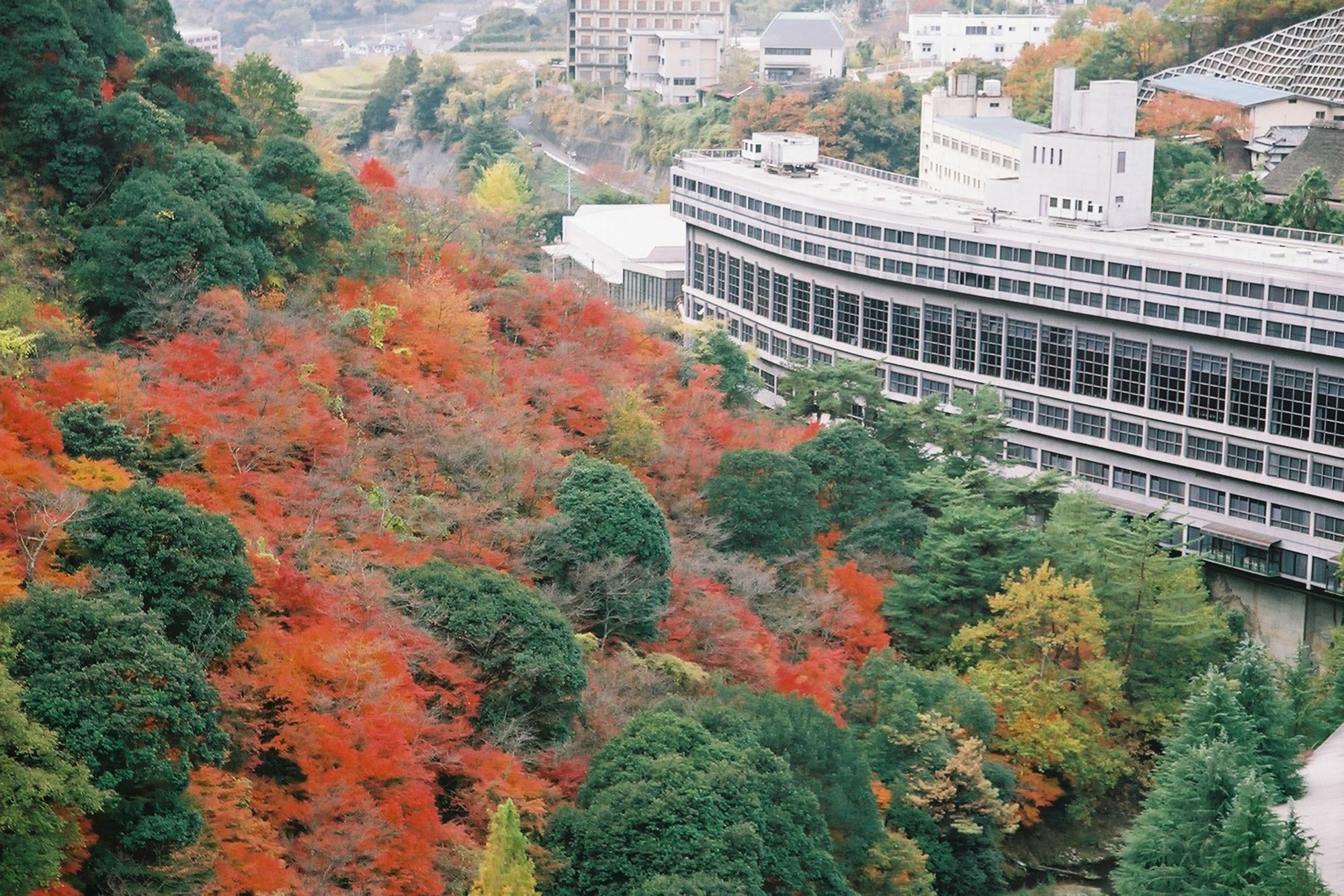 Okudogo Ichiyunomori Hotel Matsuyama  Luaran gambar